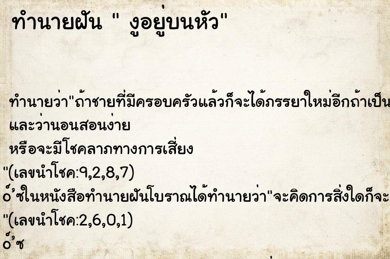 ทำนายฝัน งูอยู่บนหัว ทำนายฝัน งูอยู่บนหัว